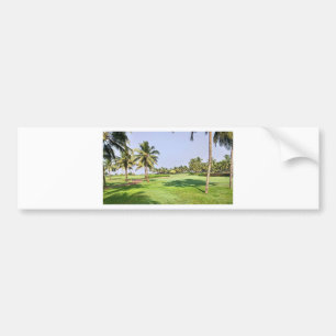 Adesivo Para Carro Goa India 2