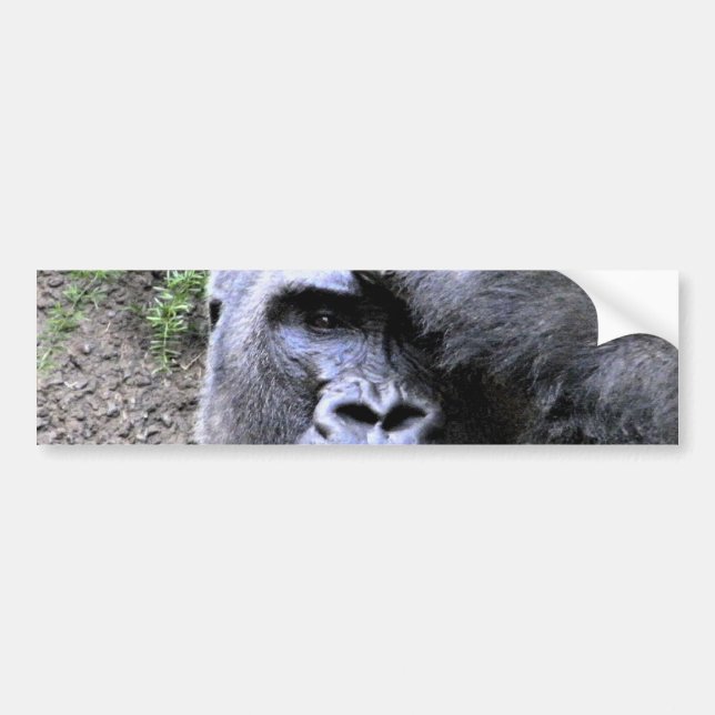 Adesivo Para Carro Gorilla_ (Frente)