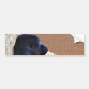 Adesivo Para Carro Gorillas_