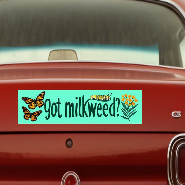 Adesivo Para Carro GOT MILKWEED? Monarch Butterfly Caterpillar Plants (GOT MILKWEED? Monarch Butterfly Caterpillar Plants Bumper Sticker
)