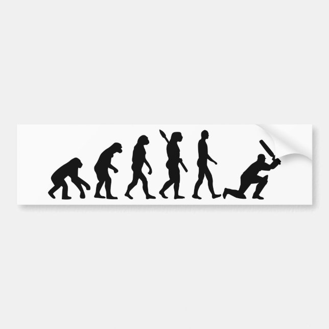 Adesivo Para Carro Grilo da evolução (Frente)