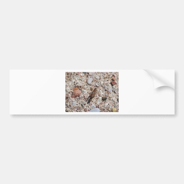 Adesivo Para Carro Grilo de Jiminy (Frente)