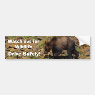 Adesivo Para Carro GRizzly Bear Cub Wildlife Supporter Bumper Sticker