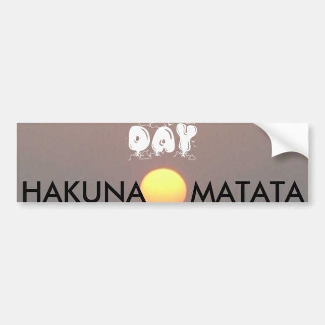 Adesivo Para Carro Hakuna Matata (Frente)