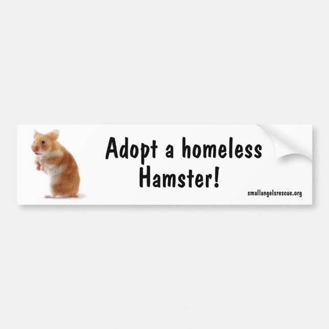 Adesivo Para Carro Hamster Bumpersticker (Frente)