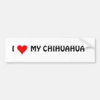 HEART1, I MINHA CHIHUAHUA
