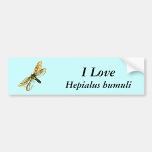 Adesivo Para Carro Hepialus humuli - Ghost Moth ou Ghost Swift