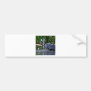 Adesivo Para Carro Heron Splash