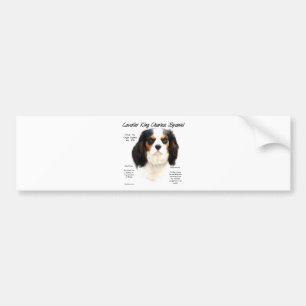 Adesivo Para Carro História (tricolor) descuidado do Spaniel de rei