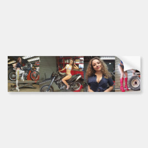 Adesivo Para Carro Holley, Harley, Jade & Lilli Toolbox.