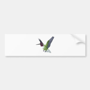 Adesivo Para Carro Homem do colibri de Anna