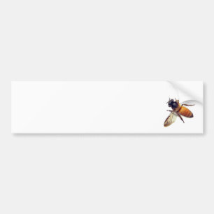 Adesivo Para Carro Honey Bee