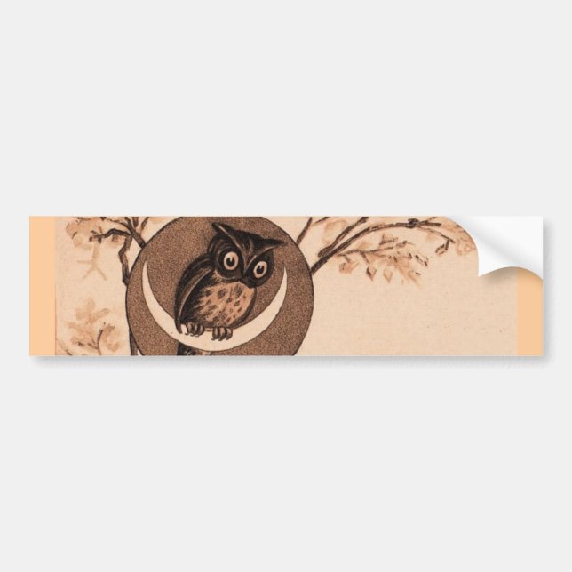 Adesivo Para Carro Hooooot! (Frente)