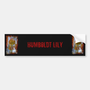 Adesivo Para Carro Humboldt Lily