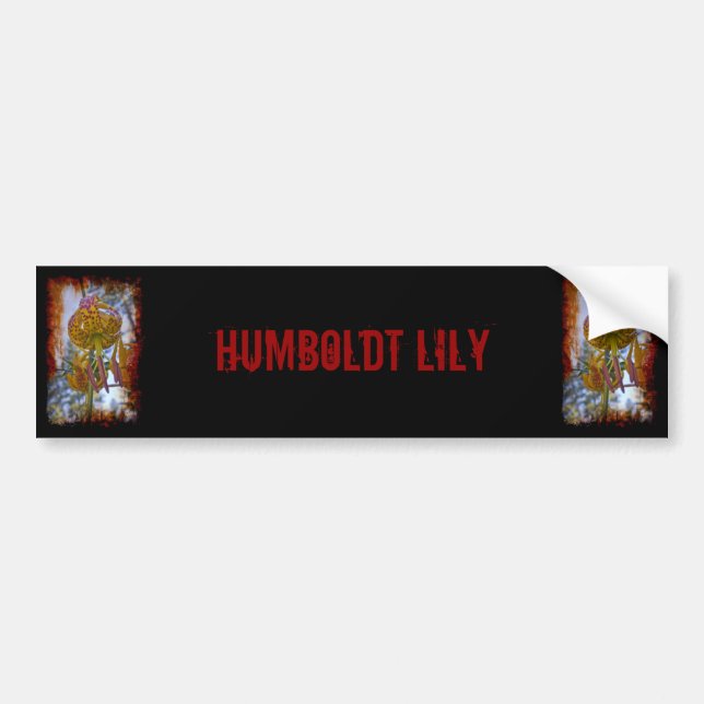 Adesivo Para Carro Humboldt Lily (Frente)