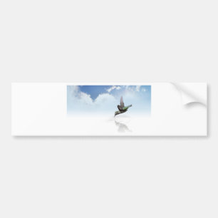 Adesivo Para Carro Hummingbird