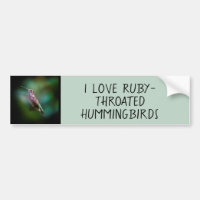 Hummingbird com garganta de rubi - Fotografia orig