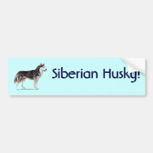 Adesivo Para Carro Husky Siberiano!