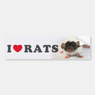 Adesivo Para Carro I bobina (cute) Ratos
