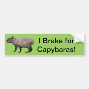 Adesivo Para Carro I Brake For Capybara