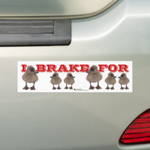 Adesivo Para Carro I BRAKE FOR Cinza Duckling Photo Personalizado