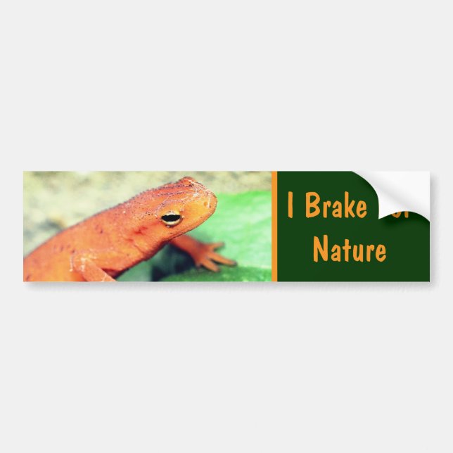 Adesivo Para Carro I Brake For Nature Salamander (Frente)
