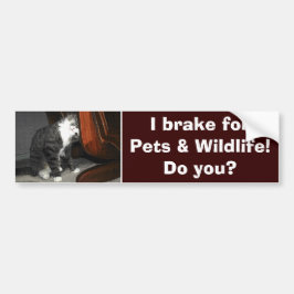 Adesivo Para Carro "I BRAKE FOR PETS" Gatinho Gatinho