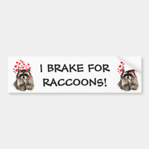 Adesivo Para Carro I Brake for RACCOONS FUNNY ANIMAL CITOTE
