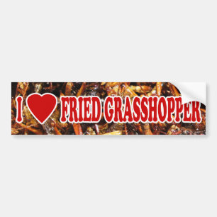 Adesivo Para Carro I Love (Heart Fried Grafopper)