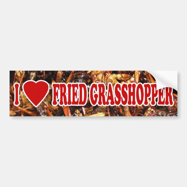 Adesivo Para Carro I Love (Heart Fried Grafopper) (Frente)