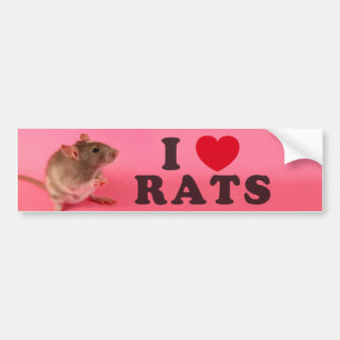 Adesivo Para Carro I love Rats (in pink)