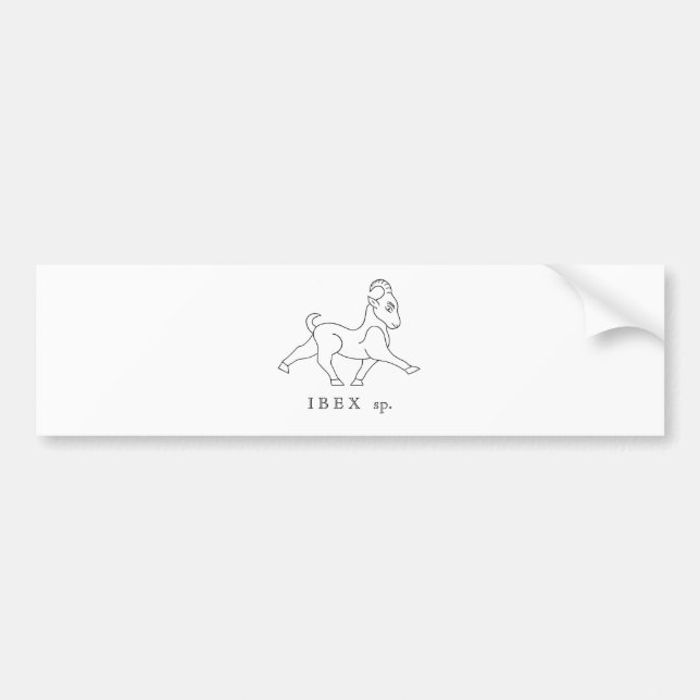 Adesivo Para Carro Íbex sp. Íbex (Frente)