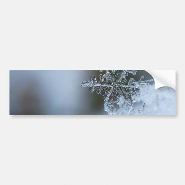 Adesivo Para Carro Icy Snowflake (Frente)