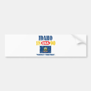 ADESIVO PARA CARRO IDAHO PROUDUCTS JUNTO AFLIGIDO PERFEITO