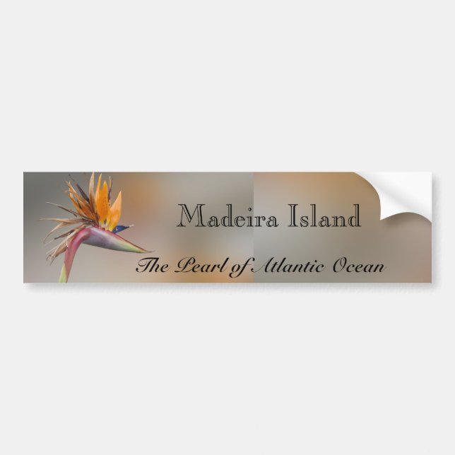 Adesivo Para Carro Ilha de Madeira (Frente)