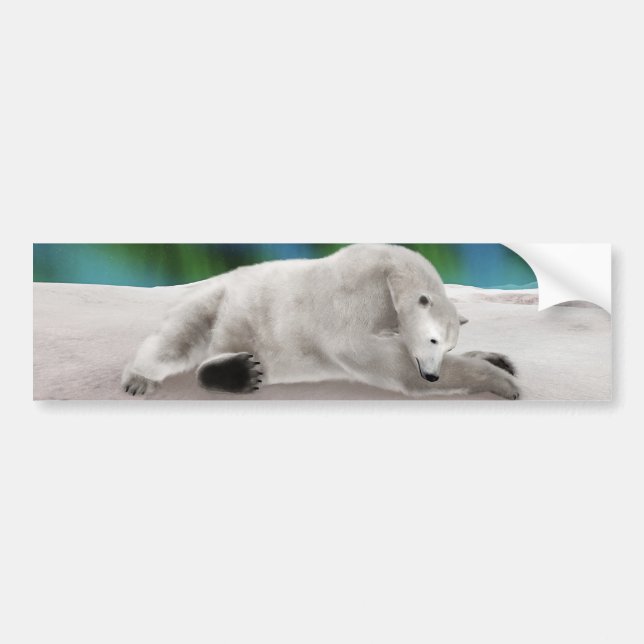 Adesivo Para Carro Ilustração Pacífica de Urso Polar na Natureza Árti (Frente)