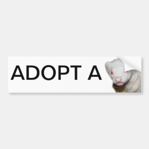 Adesivo Para Carro Imagem de Albino Ferret