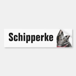 Adesivo Para Carro Imagem de Schipperke