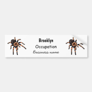 Adesivo Para Carro Imagem do desenho de Tarantula