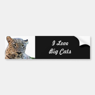 Adesivo Para Carro Impressões de leopardo