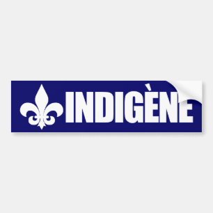 Adesivo Para Carro Indigene