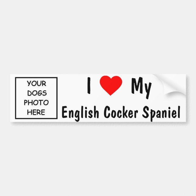 Adesivo Para Carro Inglês cocker spaniel (Frente)