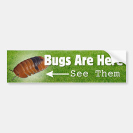 Adesivo Para Carro Insetos Estão Aqui...Isopod Edition Bumper Sticker