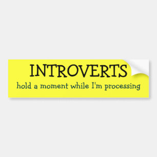 Adesivo Para Carro INTROVERTS, guardaram um momento quando eu
