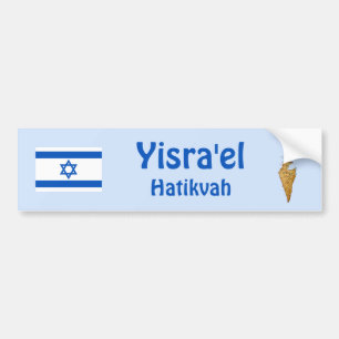 Adesivo Para Carro Israel Flag + Bumper Sticker