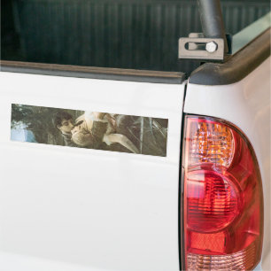 Adesivo Para Carro Jovem Casal Apaixonado (Beijando num Barco)