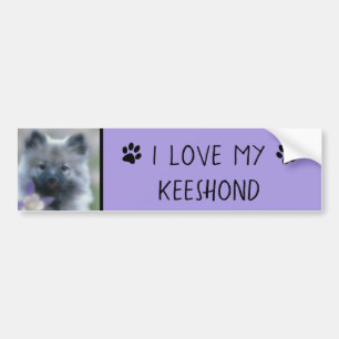 Adesivo Para Carro Keeshond e Columbine - Fotografia de Cães