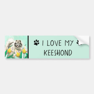 Adesivo Para Carro Keeshond em Tulips pintando uma linda arte canina