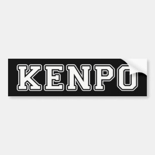 Adesivo Para Carro Kenpo