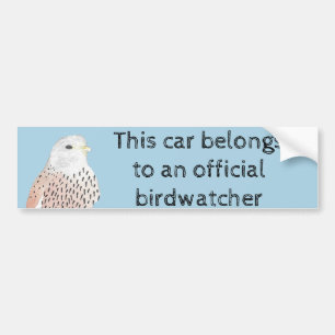 Adesivo Para Carro Kestrel Birdwatcher Americano